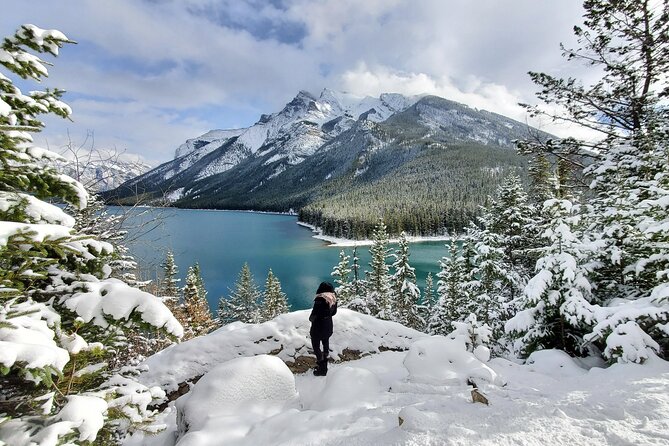 Spectacular Banff Day - Gondola Included - Sulphur Mountain by Banff Gondola