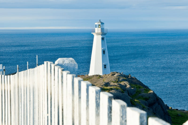 St John's Premium Driving Tour with Signal Hill & Cape Spear - The Terry Fox Memorial and a Personal Story