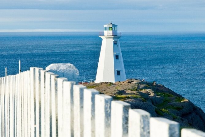 St. John’s Small Group Tour with Iceberg Quest Boat Cruise - Guide quality can shape the whole morning