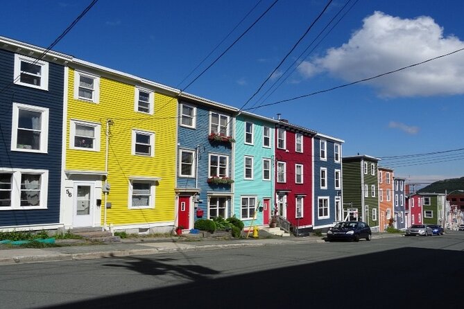 St. John’s Small Group Tour with Iceberg Quest Boat Cruise - Who should book this St. John’s tour?