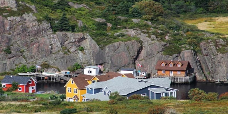 St Johns Premium Tour with Iceberg Quest Boat Cruise - Booking advice for a smoother day