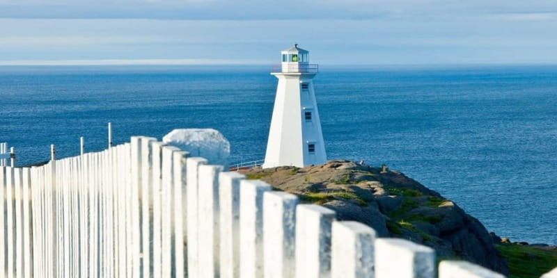 St Johns Premium Tour with Iceberg Quest Boat Cruise - How much value do you get for $169?