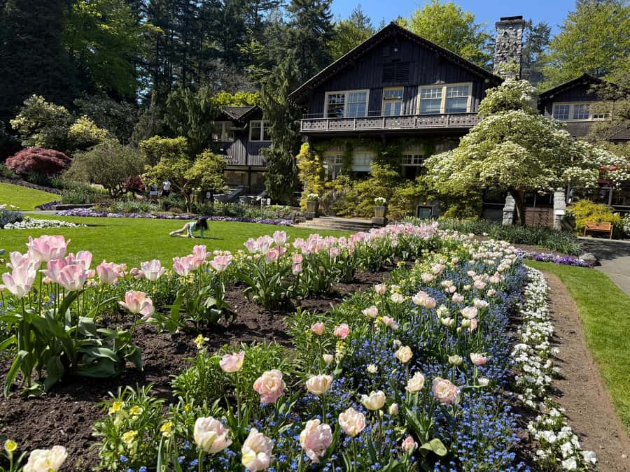Stanley Park CarTour:SmallGroup/Comfort&CheaperThan BikeTour - Totem Park brings the park’s culture into focus