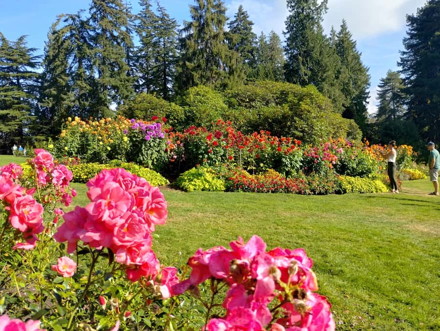 Stanley Park CarTour:SmallGroup/Comfort&CheaperThan BikeTour - Nine O’Clock Gun and the working harbor