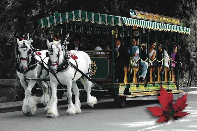 Stanley Park Horse Drawn Tour in Vancouver - The totem poles: a worthwhile but brief stop