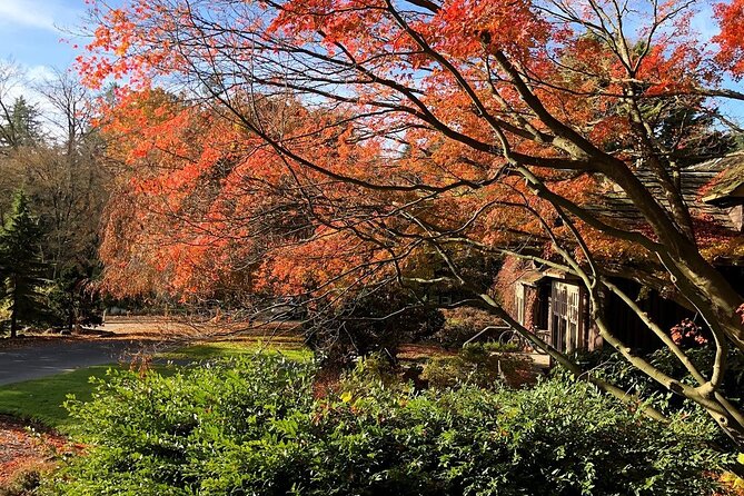 Stanley Park Horse Drawn Tour in Vancouver - Is $48.91 a fair price?