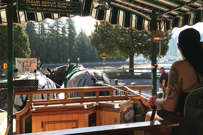 Stanley Park Horse Drawn Tour in Vancouver - Who will enjoy this one-hour ride?