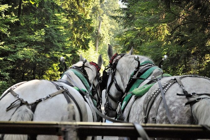 Stanley Park Horse Drawn Tour in Vancouver - The slow roll along Park Drive and the Seawall
