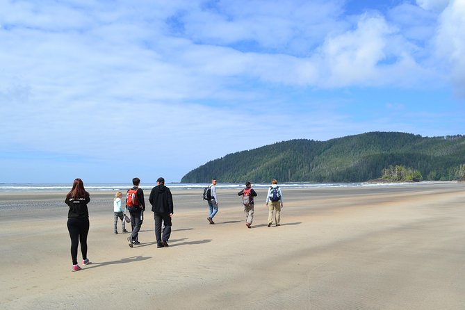 STUNNING San Josef Bay Tour in Cape Scott Provincial Park - Key Points Before You Book