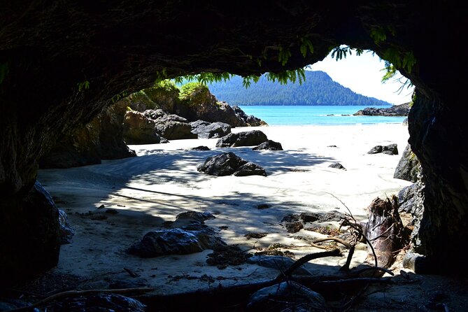STUNNING San Josef Bay Tour in Cape Scott Provincial Park - Holberg and the Road to the Trailhead