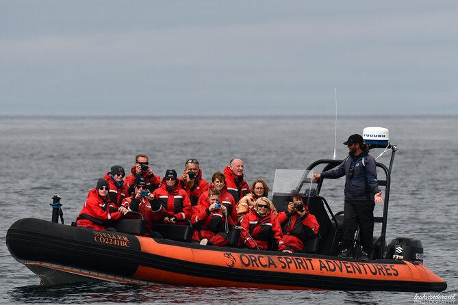 Summer Whale Watching Tour in a Zodiac Boat in Victoria - The whale search: orcas, humpbacks, and luck