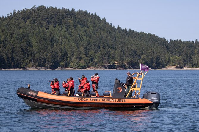 Summer Whale Watching Tour in a Zodiac Boat in Victoria - What the Zodiac ride feels like