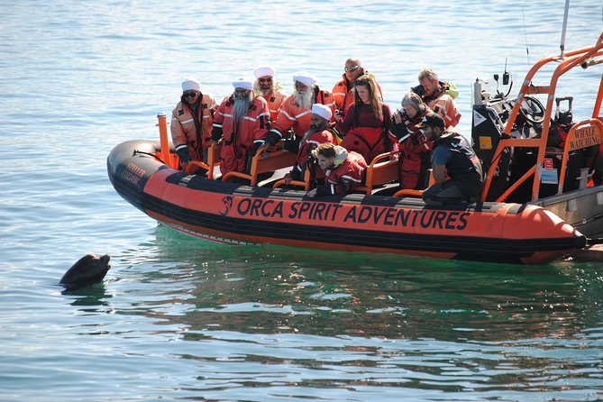 Summer Whale Watching Tour in a Zodiac Boat in Victoria - Who should choose this boat?