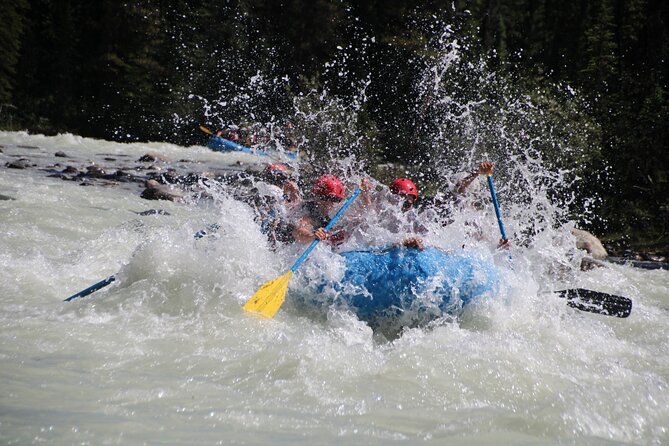 Sunwapta River Self-Drive Rafting Trip - Who will enjoy this most