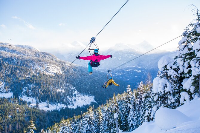 Superfly Ziplines on Cougar Mountain - includes 4 ziplines! - Quick take: four lines, big views, strong safety