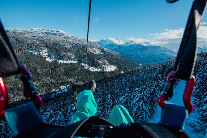 Superfly Ziplines on Cougar Mountain - includes 4 ziplines! - The ride to the top adds a bit of adventure