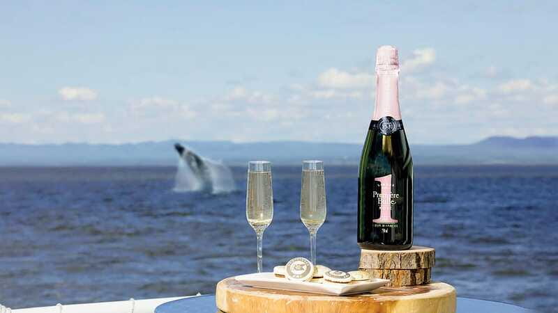 Tadoussac/Charlevoix: VIP Lounge OR UpperDeck Whale Watching - Pointe-Noire, Pointe de l’Islet, and the changing view