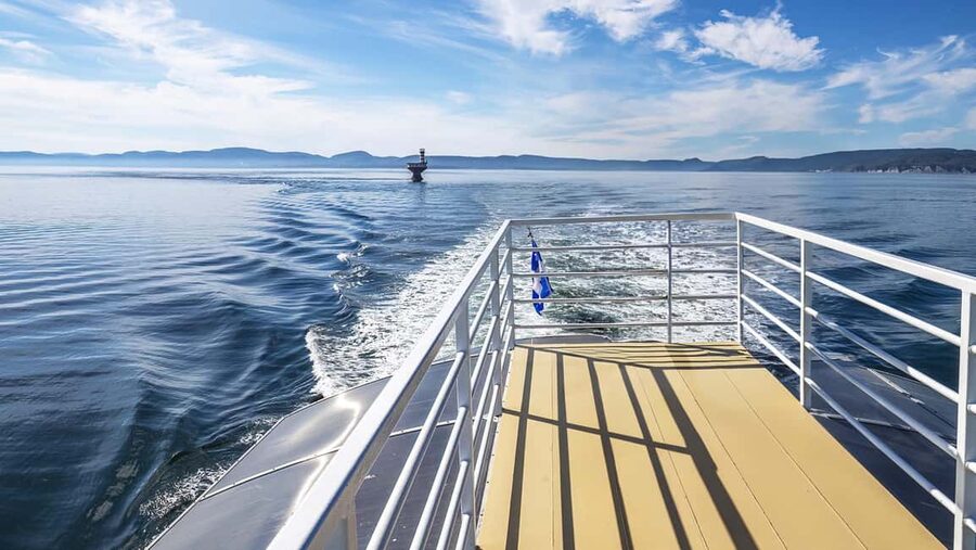 Tadoussac/Charlevoix: VIP Lounge OR UpperDeck Whale Watching - Guides, safety, and whale-watching ethics