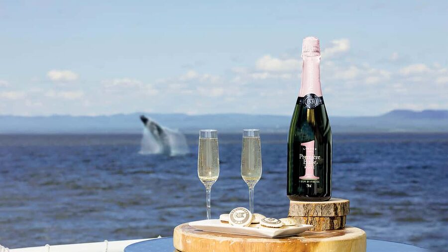Tadoussac/Charlevoix: VIP Lounge OR UpperDeck Whale Watching - Entering the Saguenay-St. Lawrence Marine Park