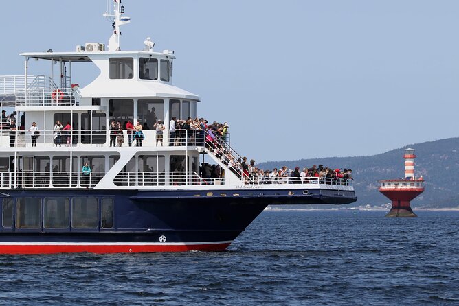 Tadoussac/Charlevoix: Whale Watching Tour - Baie-Ste-Catherine or Tadoussac?