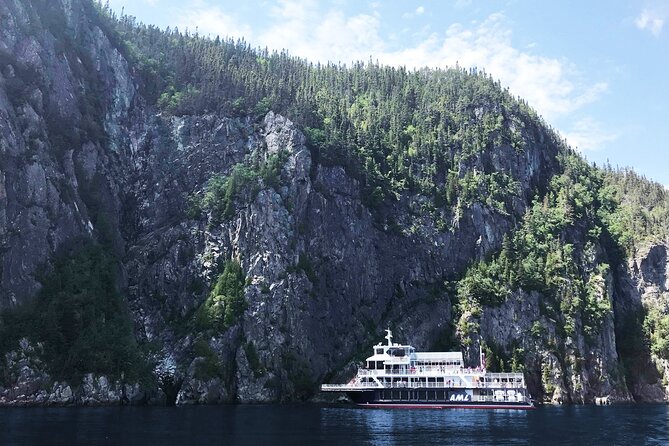 Tadoussac/Charlevoix: Whale Watching Tour - Observation boat or Zodiac: pick comfort or excitement