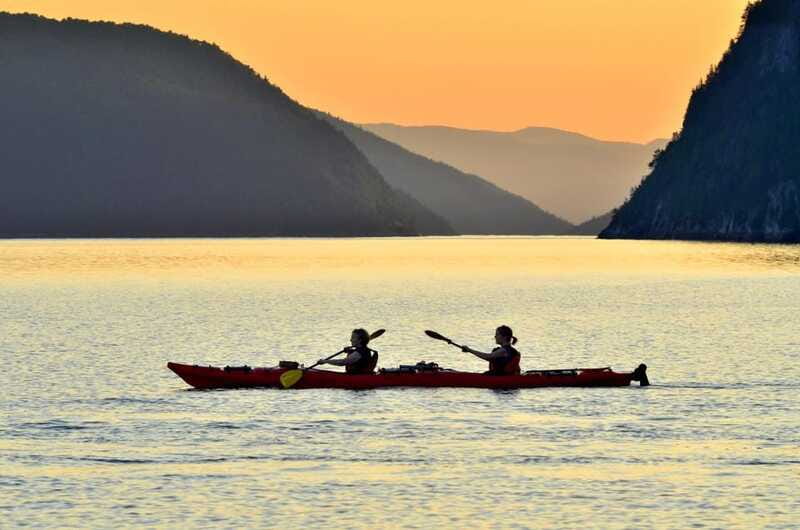Tadoussac: Guided Sea Kayaking Adventure - Wildlife watching without false promises