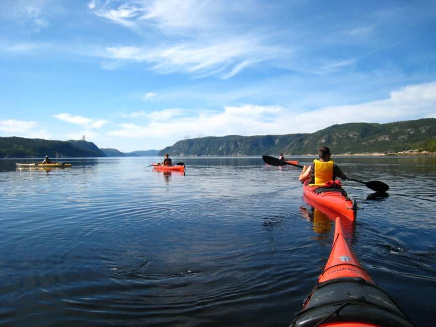 Tadoussac: Guided Sea Kayaking Adventure - Is $58 a fair price?