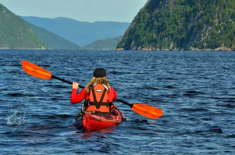 Tadoussac: Guided Sea Kayaking Adventure - Who will enjoy this Tadoussac kayak trip?