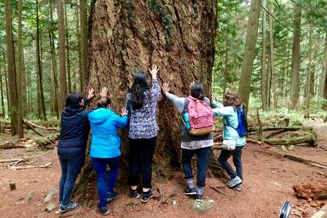 Talking Trees: Stanley Park Indigenous Walking Tour Led by a First Nations Guide - Beaver Lake and the meaning of ordinary plants