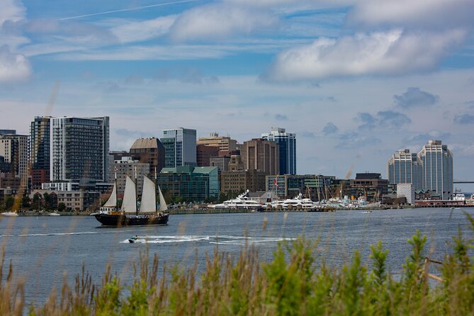 Tall Ship Silva Sailing Cruise Ft. a Live Musician - Is $40.89 a Fair Price?