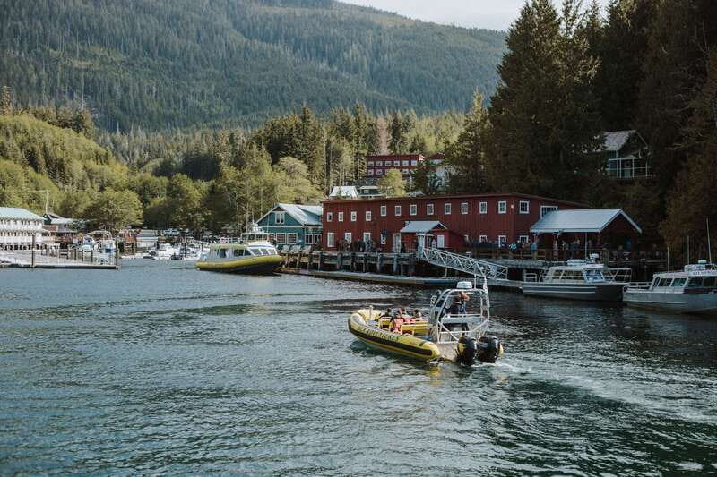 Telegraph Cove: 3-Hour Whale Watching Tour in a Zodiac Boat - Key points to know before you go