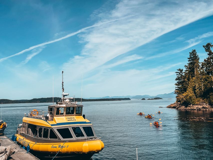 Telegraph Cove: Whale Watching Adventure with Free Photos - Free photos, personal cameras, and the trade-off