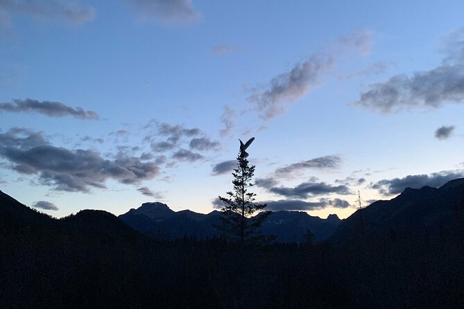 The Banff Stargazing Tour - 2hr Walking Tour - Walking through Banff National Park at night