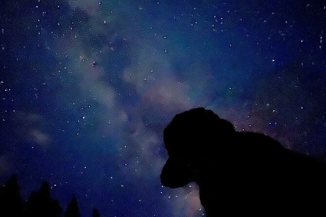The Banff Stargazing Tour - 2hr Walking Tour - Learning constellations from guides who make it fun