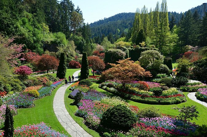 The Butchart Gardens Express Shuttle from Downtown Victoria - A smart route through the gardens