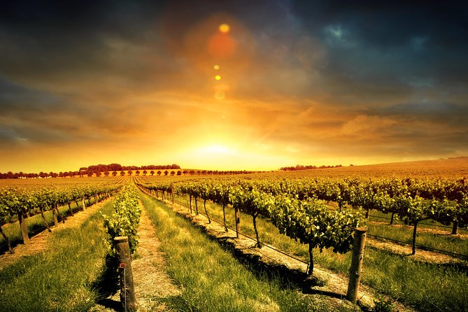 Three Courses Lunch and Wine Tour Through Niagara's Wine Country - The first winery sets the tone