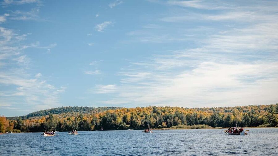 Toronto: Algonquin Park and Ragged Falls Day Trip - Quick takeaways for the Algonquin day trip