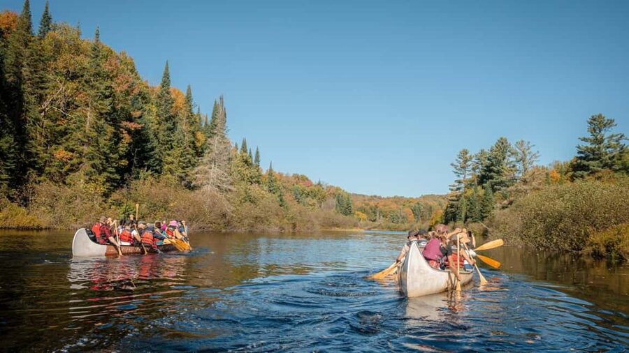 Toronto: Algonquin Park and Ragged Falls Day Trip - Why this works as a Toronto escape