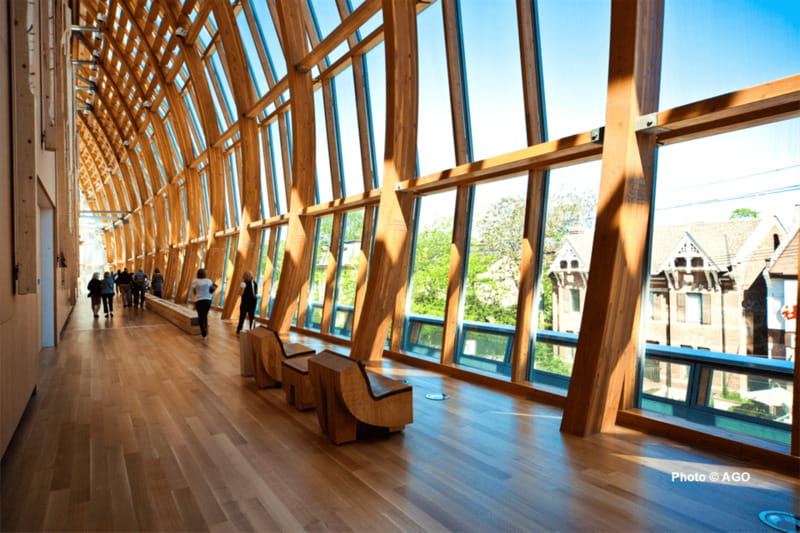 Toronto: Art Gallery of Ontario General Admission Ticket - Is $21 good value?