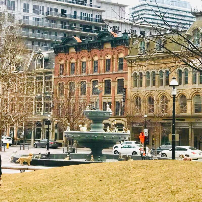 Toronto: City Walking Tour - Old Toronto, where the city changes character