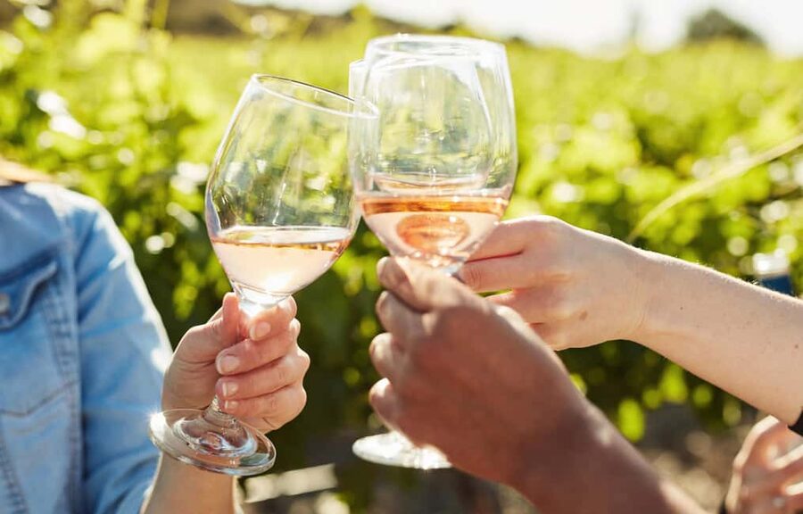 Toronto: Niagara-on-the-Lake, Wine Tasting & Chocolate Tour - Getting started in a climate-controlled minibus
