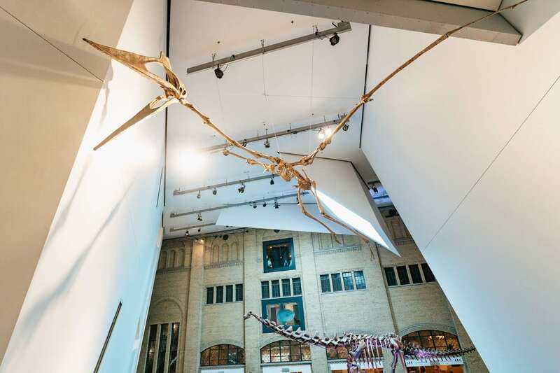Toronto: Royal Ontario Museum Admission Ticket - Why the ROM deserves a place in your Toronto plans
