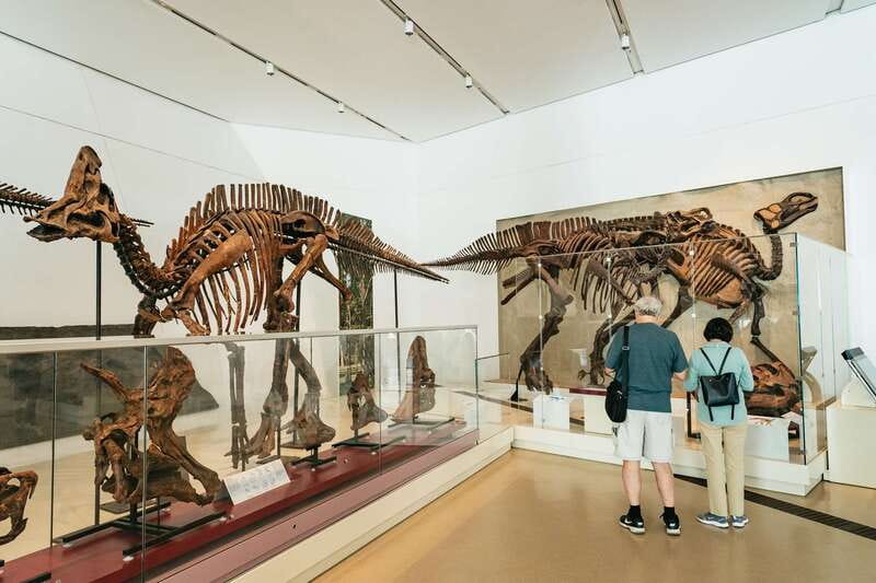 Toronto: Royal Ontario Museum Admission Ticket - See the Ming tomb and Chinese temple art