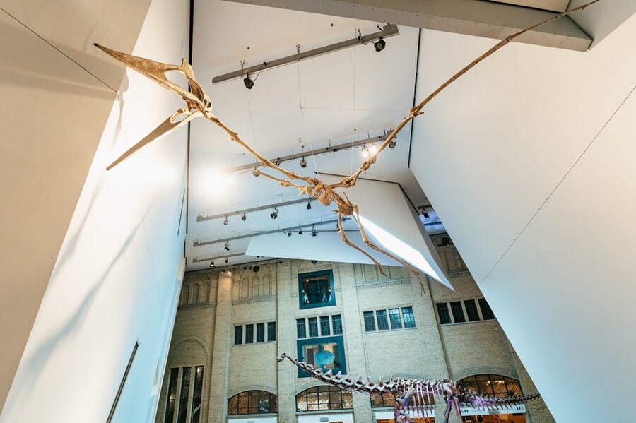 Toronto: Royal Ontario Museum Admission Ticket - How much time should you allow?