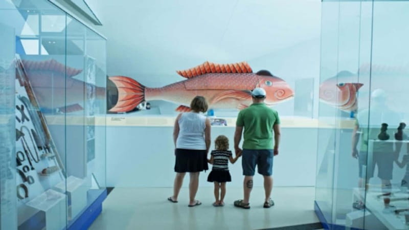 Toronto: Royal Ontario Museum Special Exhibits Voucher - Three Floors, Many Different Museums