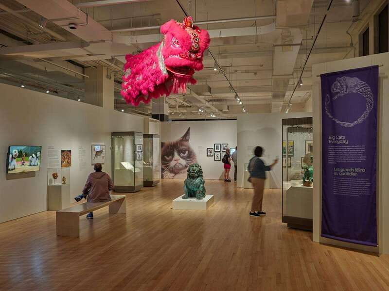 Toronto: Royal Ontario Museum Special Exhibits Voucher - Free Tours, Kiosks, and Exploring at Your Pace