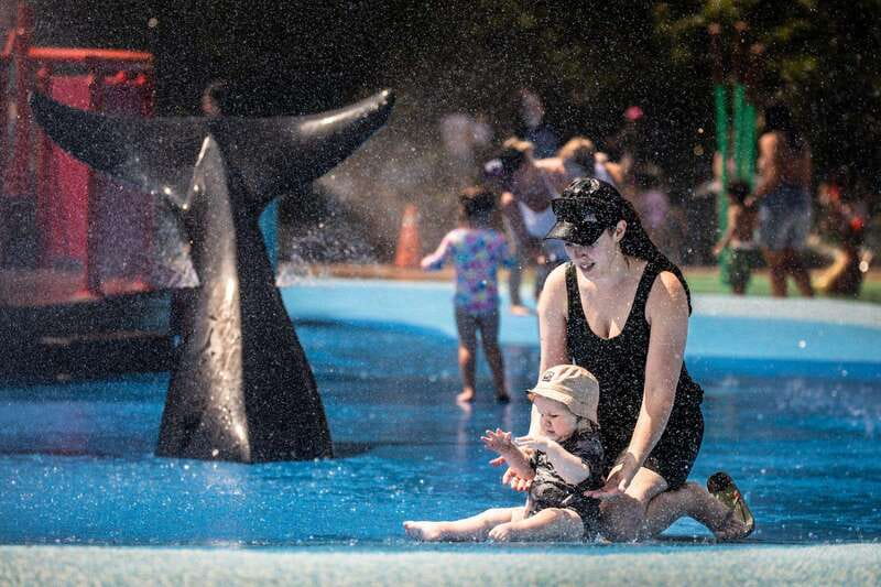 Toronto: Toronto Zoo Entry Ticket - Key points to know before you go