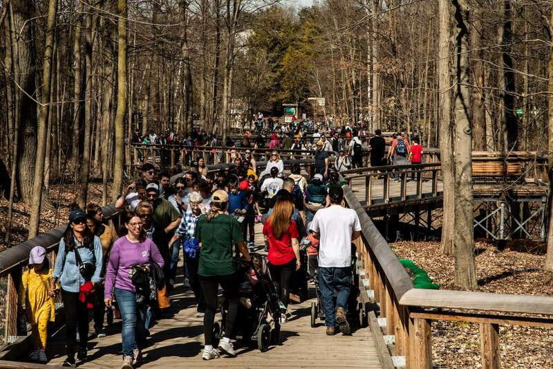 Toronto: Toronto Zoo Entry Ticket - Toronto Zoo is a full-day outing, not a quick stop
