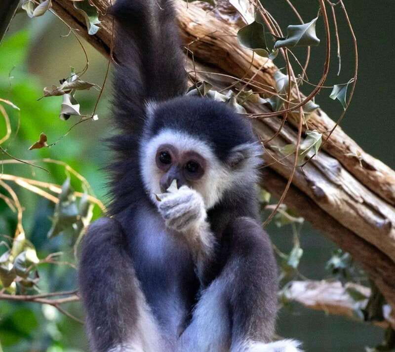Toronto: Toronto Zoo Entry Ticket - Is the $22 ticket good value?