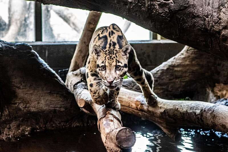 Toronto: Toronto Zoo Entry Ticket - Who will enjoy Toronto Zoo most?